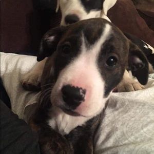 Meet your Posher, Joel